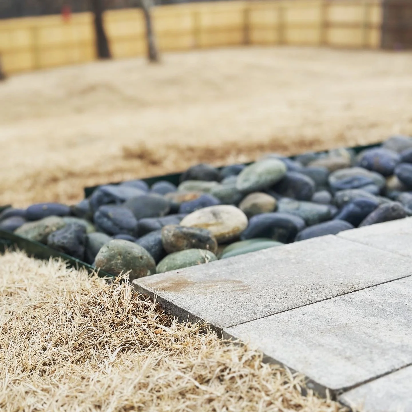 Colorado close up.JPG