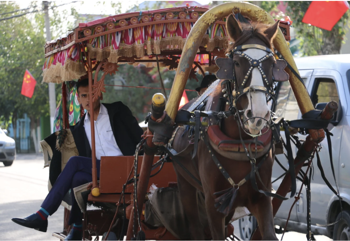 新疆俚语 Xinjiang Slang