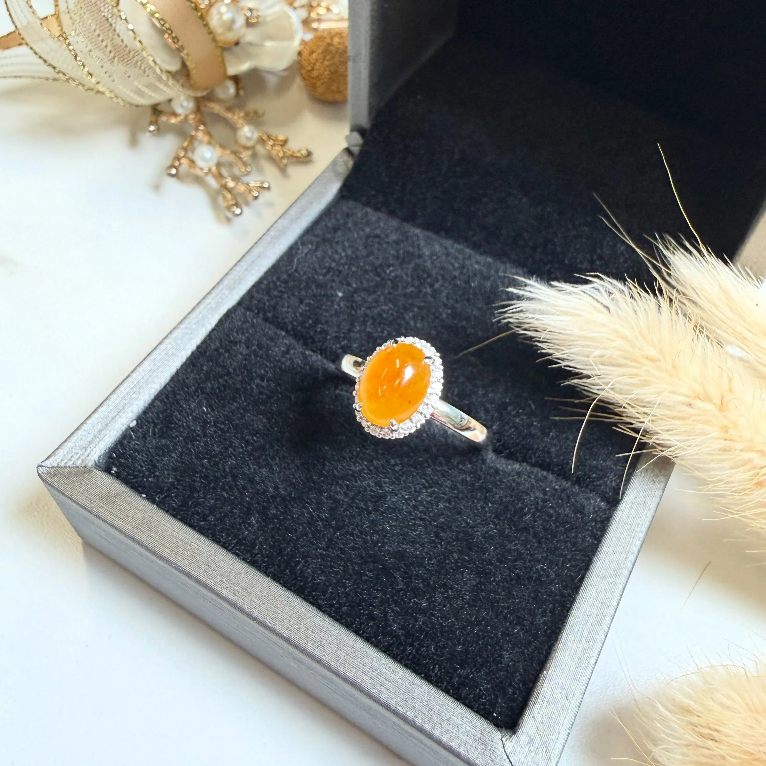 🍊The Ice Fantä 🍊(R030826)