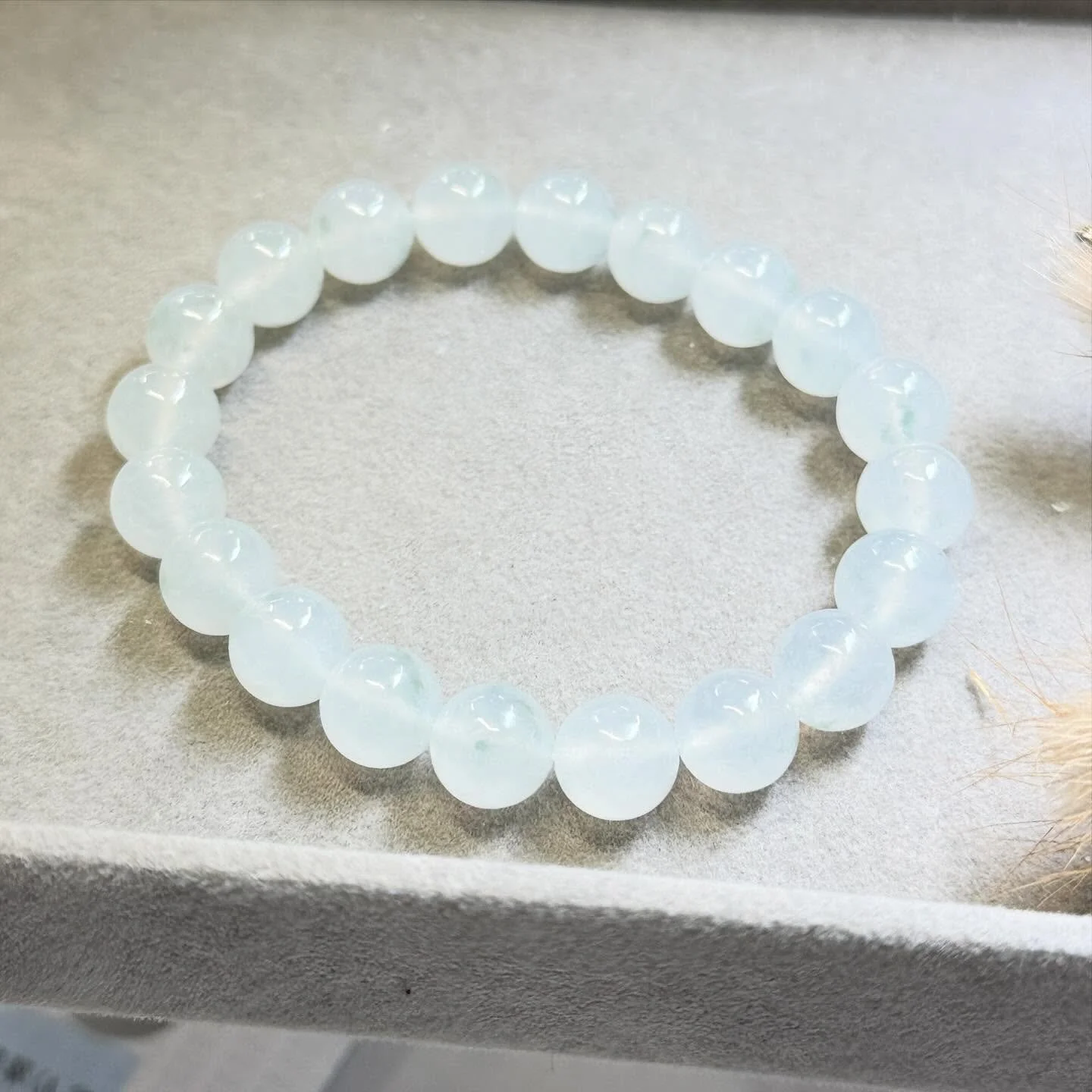 [Very Nice] ❤️The Mossy Snowglobé ❤️ (BB040825)