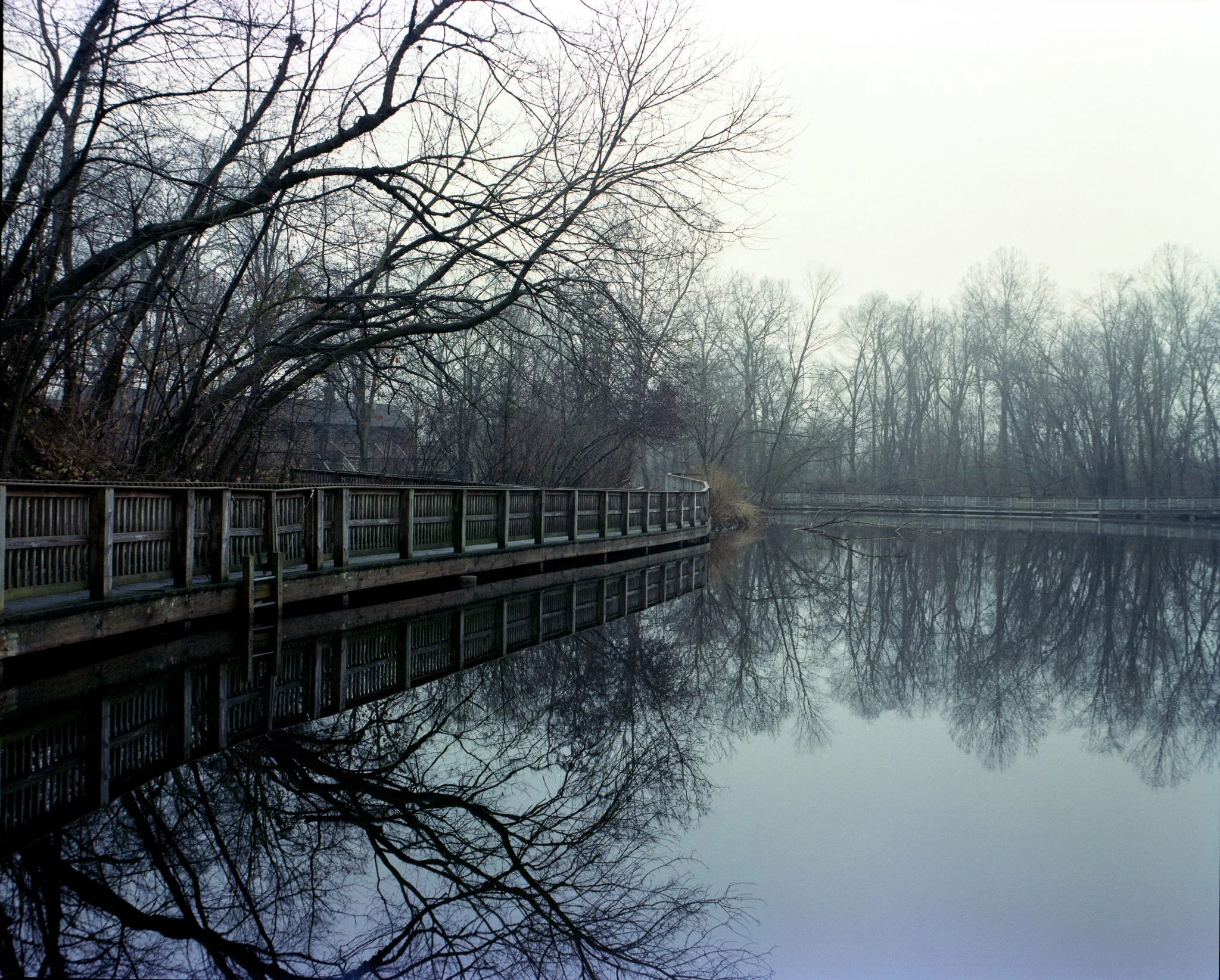 Path in the Fog-Recovered.jpg