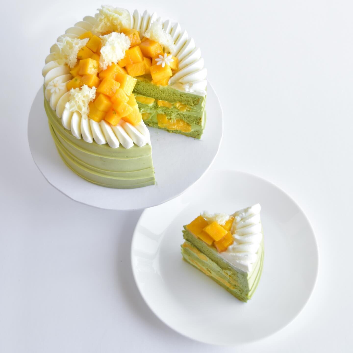 Mango Paradise is back and better than ever just in time for mango season! 🥭
Fresh, sweet &amp; tangy mango chunks paired with creamy matcha ganache and matcha sponge create a perfectly balanced combination bursting with mango aroma that transports 