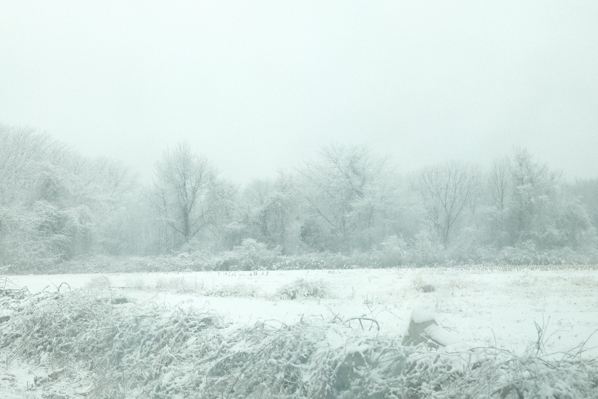 Photo Journal: December 2025