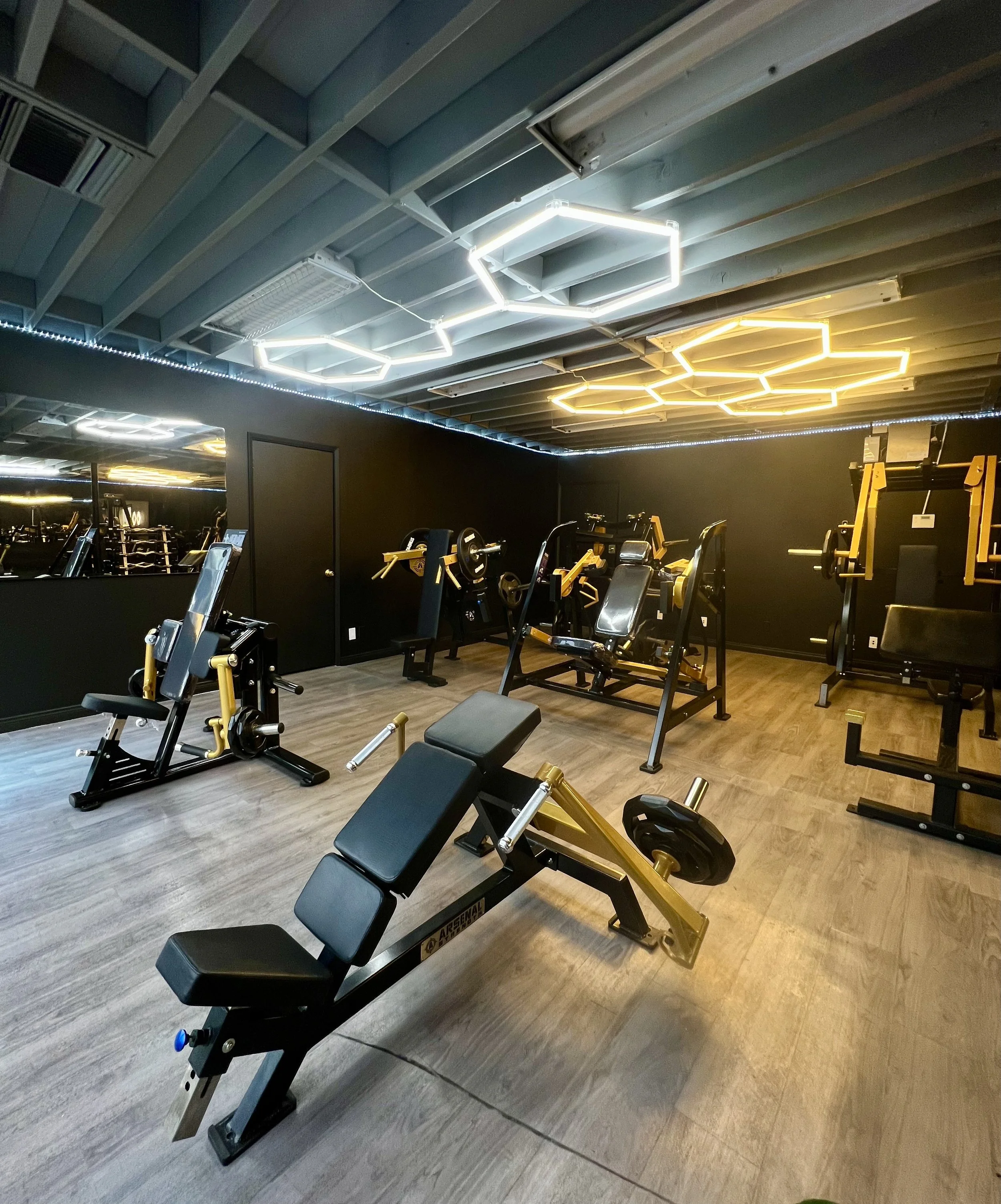 Our strength training area features premium plate-loaded machines and free weight equipment designed for progressive strength development. FulHaus Club provides a private gym atmosphere where members can train efficiently with expert coaching and phy