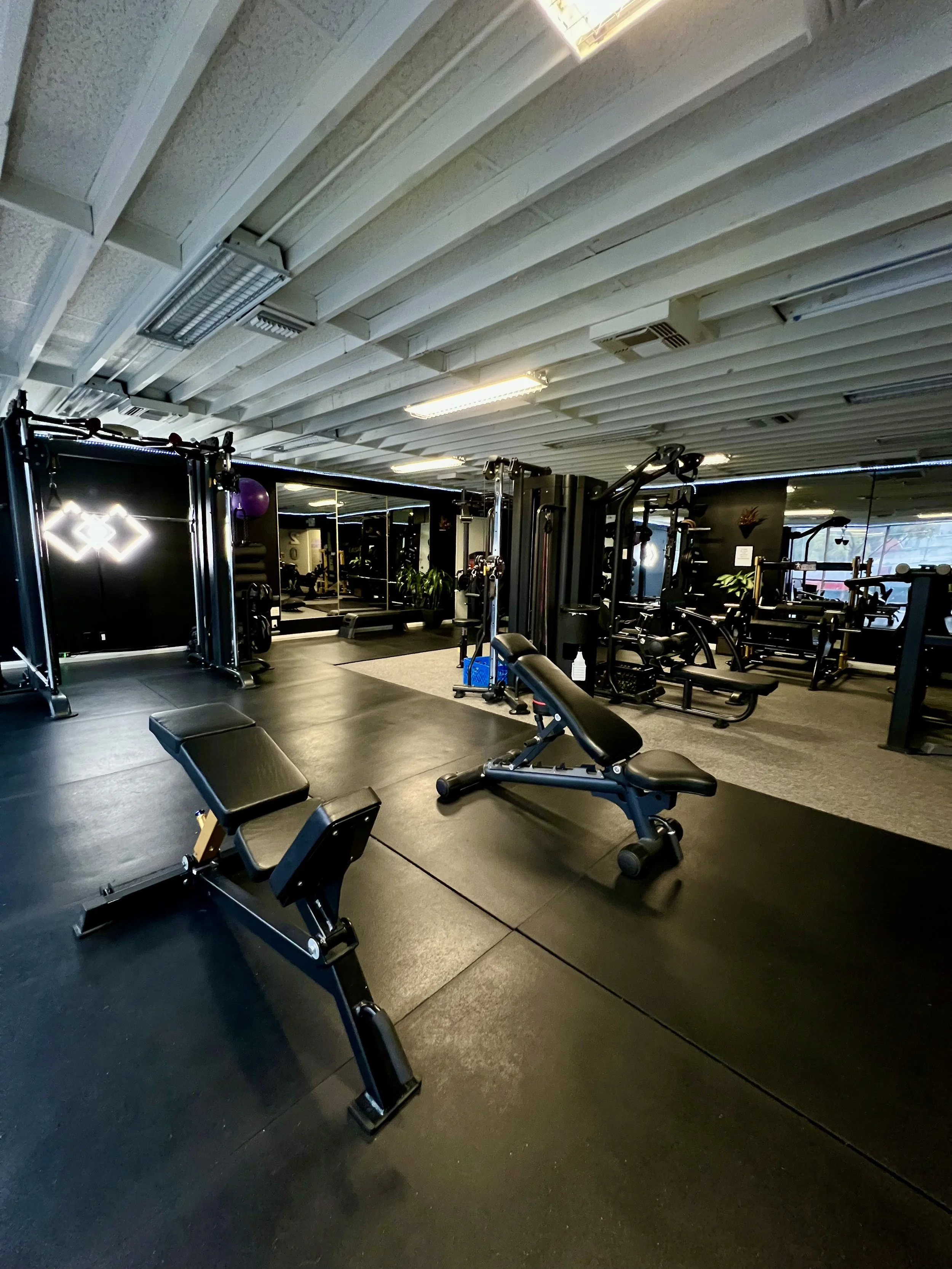 This training zone is designed for functional strength training and movement development. Members perform exercises that build strength, coordination, and mobility while training in a private gym environment in West Hollywood.