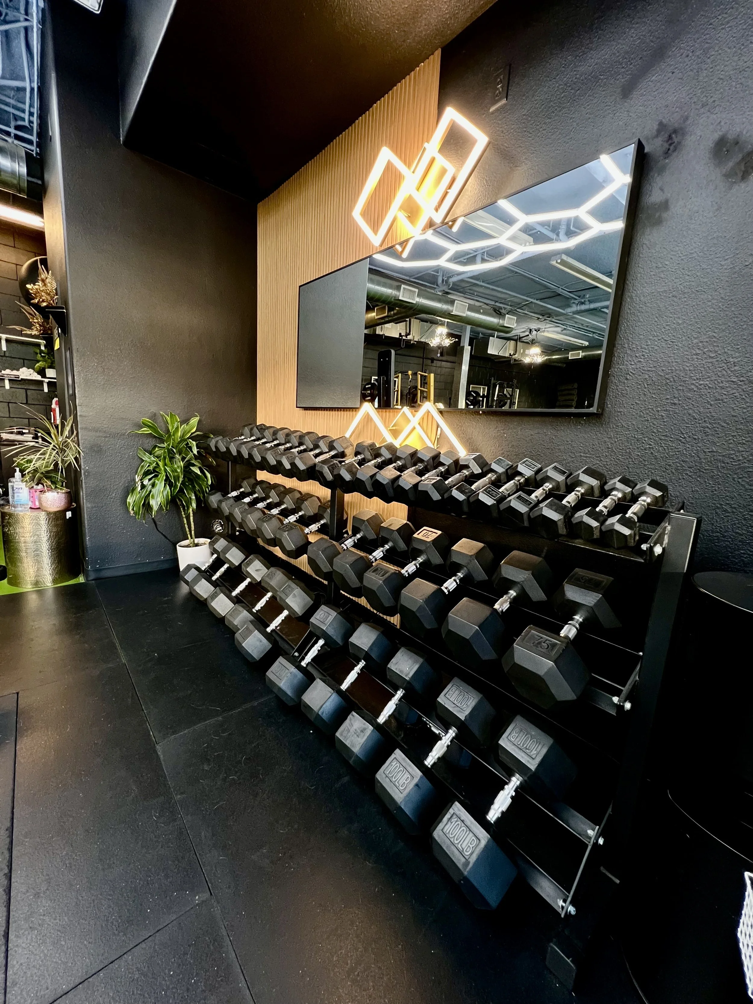 The free weight training area at FulHaus Club provides a full range of dumbbells and strength equipment to support progressive resistance training. This area is commonly used for personal training sessions and structured small-group strength workouts