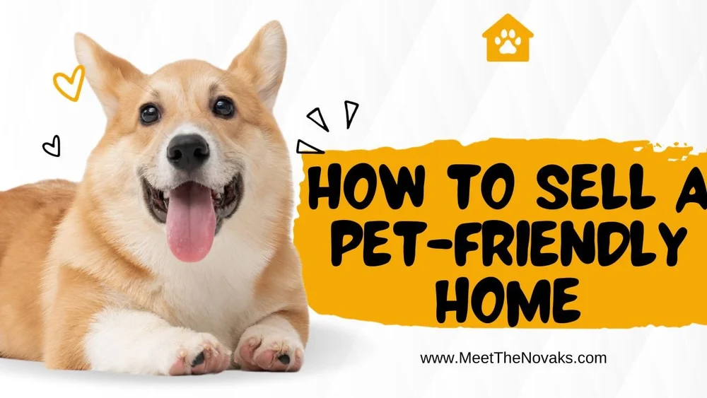 How to Sell a PetFriendly Home in Snohomish County — MEET MIKE AND
