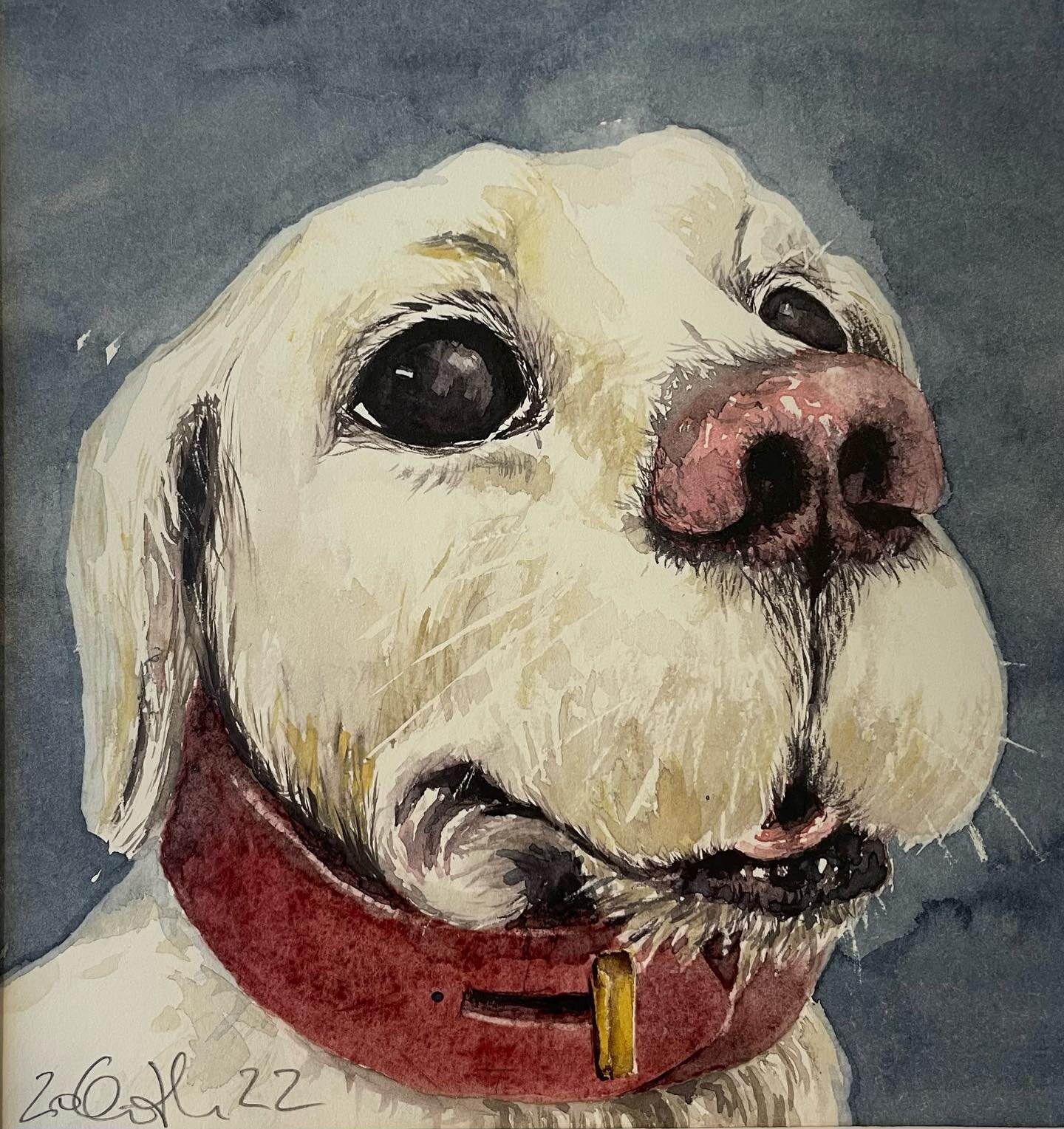 The Watchdog of Hellbrunn Palace, small watercolour portrait inspired by a statue. #watercolorpainting #aquarelle #aquarell #watercolorsketch #austrianartist #norwegianartist #gallary #contemporaryart #hellbrunn #dogart #akvarell #dr&oslash;bak #artc