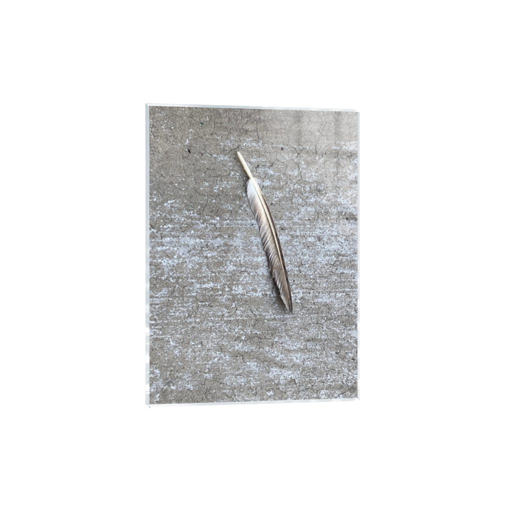 Chicago historic Bronzeville neighborhood captured early morning no violence positive and inspiring view of Chicago