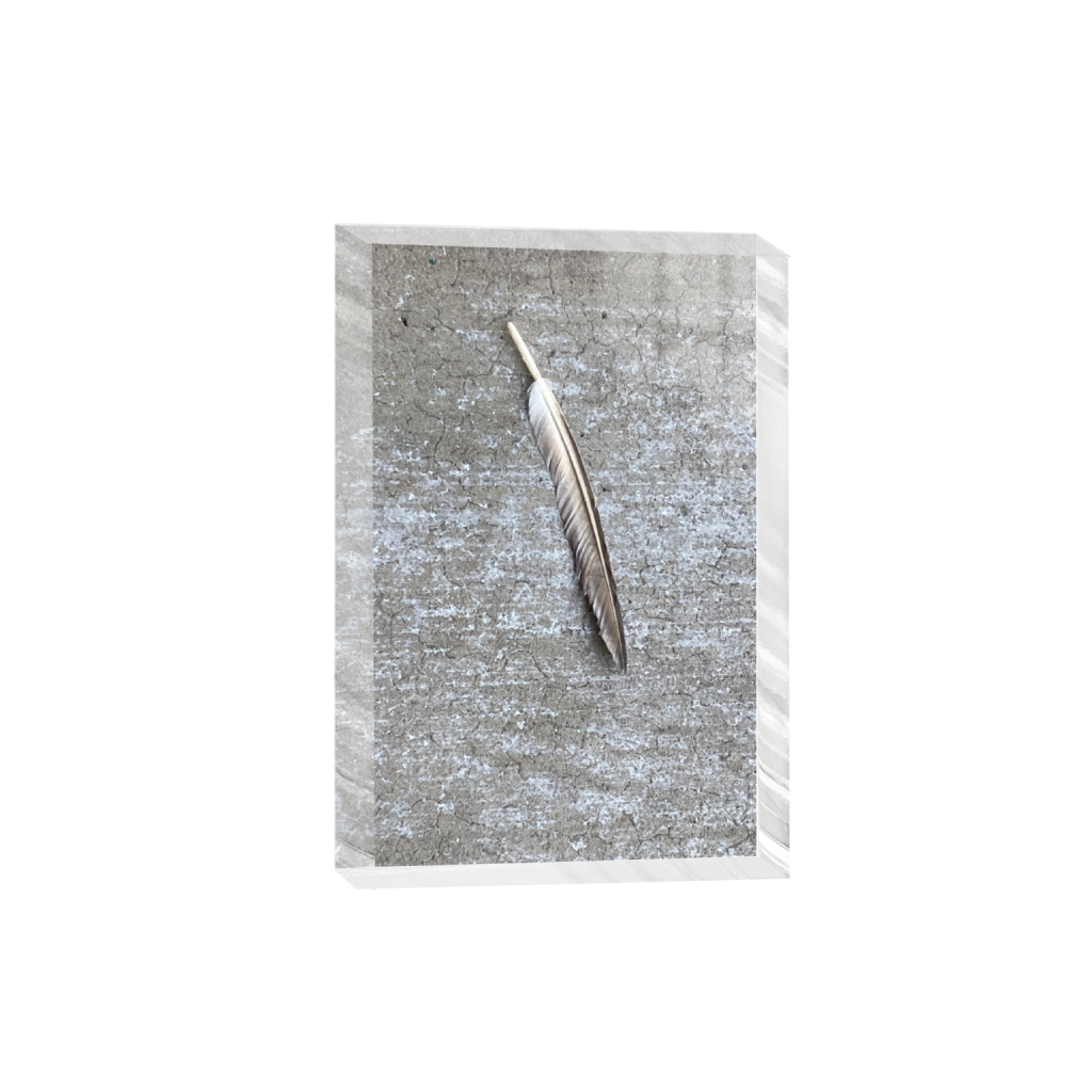 Chicago historic Bronzeville neighborhood captured early morning no violence positive and inspiring view of Chicago