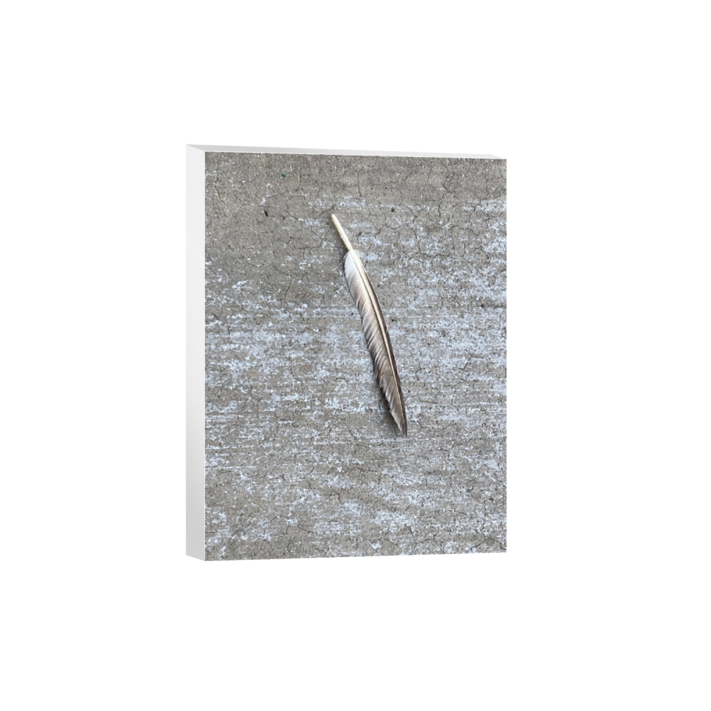 Chicago historic Bronzeville neighborhood captured early morning no violence positive and inspiring view of Chicago