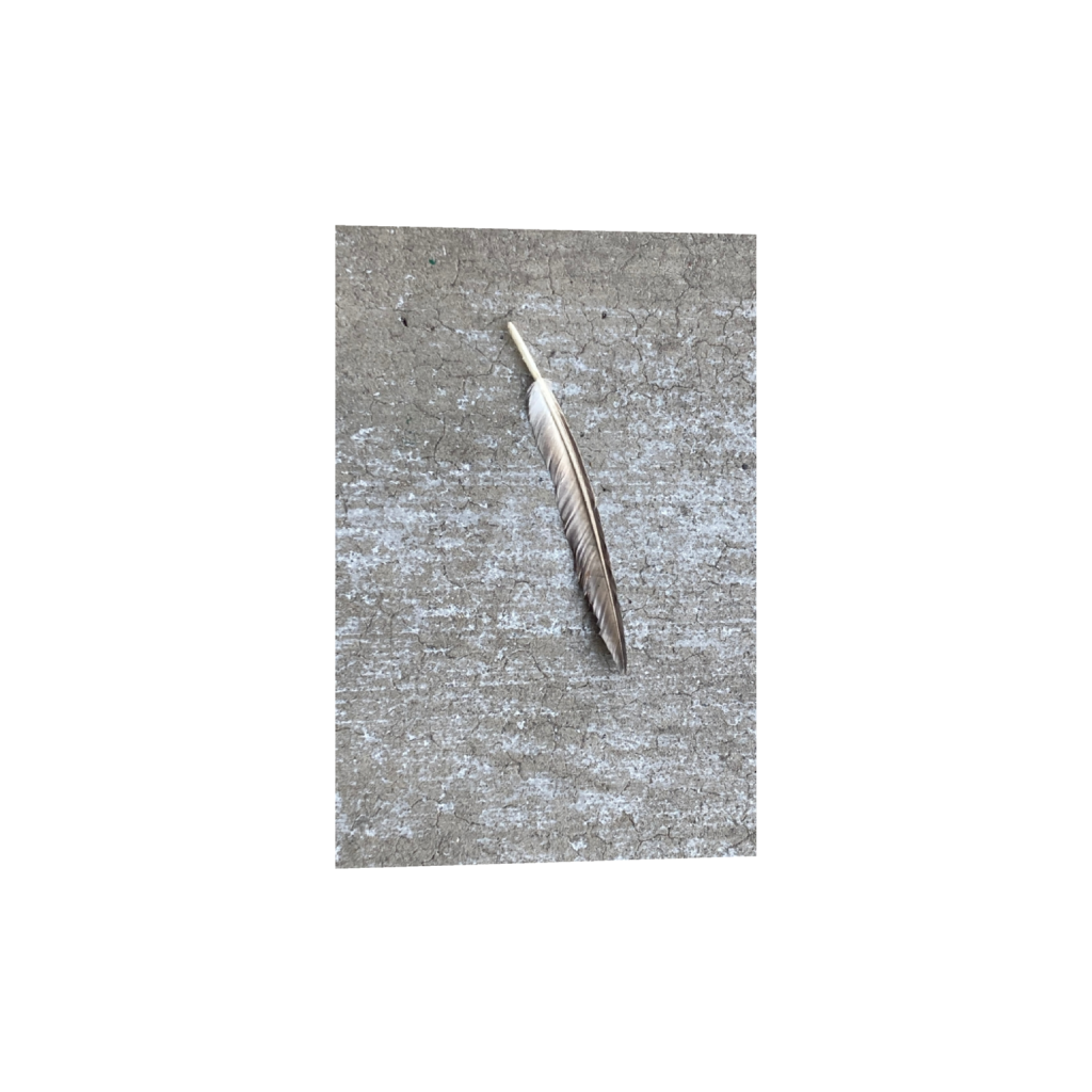 Chicago historic Bronzeville neighborhood captured early morning no violence positive and inspiring view of Chicago