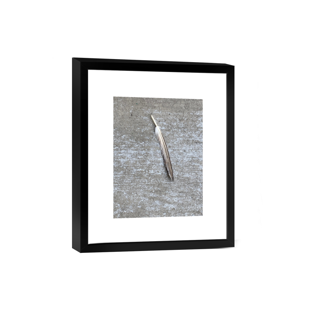 Chicago historic Bronzeville neighborhood captured early morning no violence positive and inspiring view of Chicago