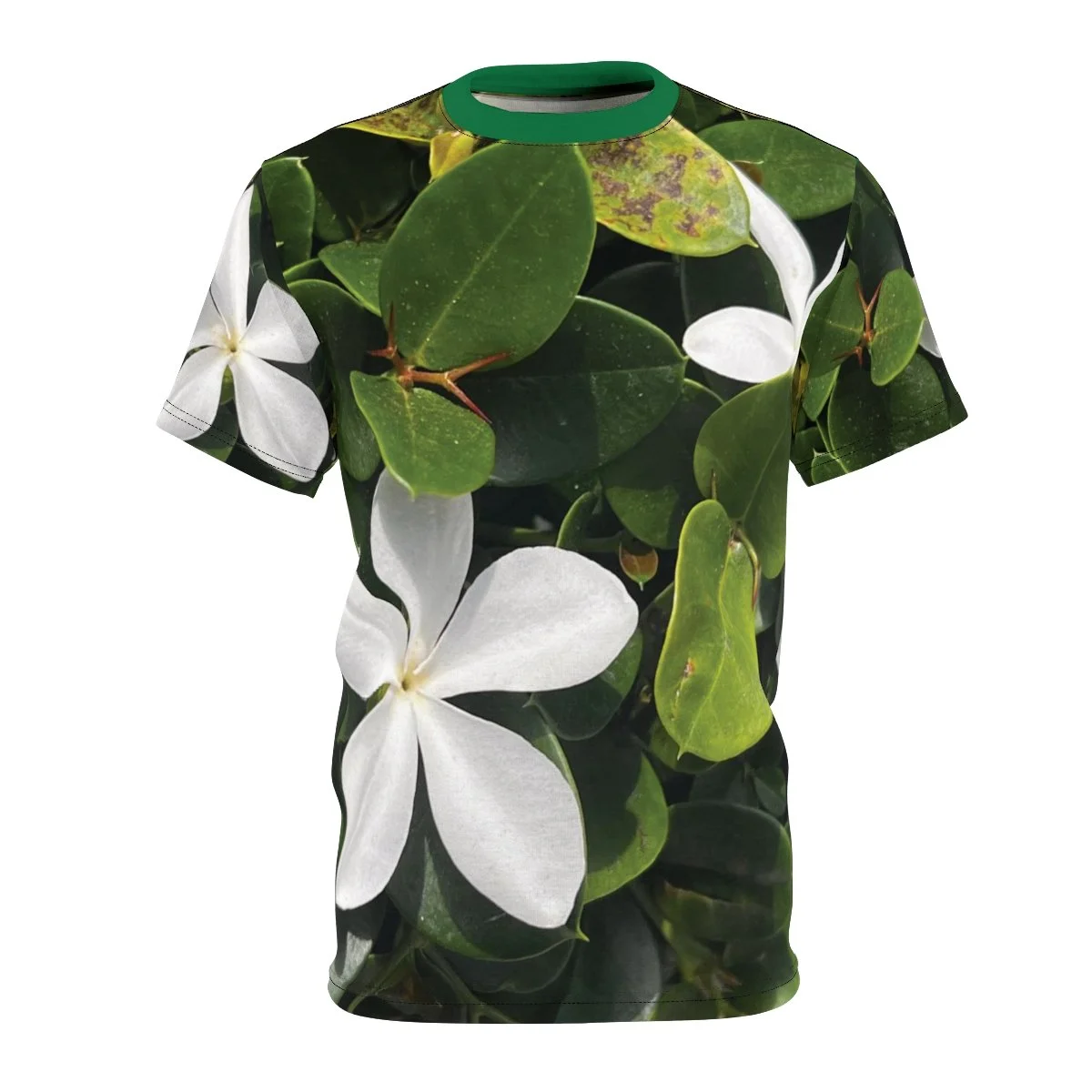 e4d1ec58d76dbe1879f1c656027622f7