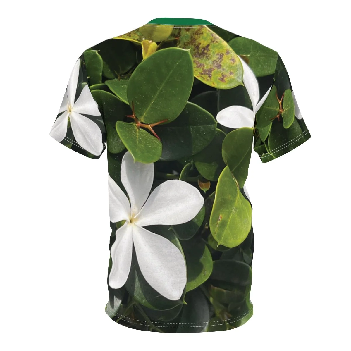 bd9d364bce1ee1da86eb93d0ba50dd17