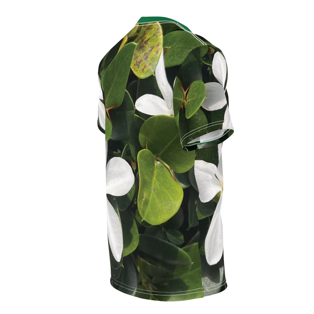 294d665726234a5e56ce83601a13cd6b