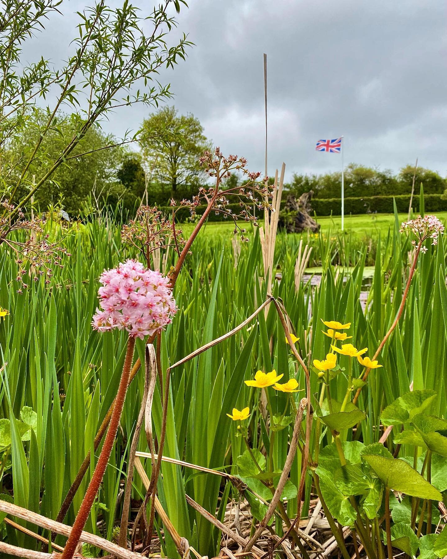 Some of the blooms around the Upper Parsonage Farm pond 🌼🌸 and our Coronation flag still flying high! 🇬🇧

Wishing our campers a wonderful stay this weekend! 🏕️

#upperparsonagecampsite #upperparsonagefarm #upperparsonagefarmcampsite #campsite #e