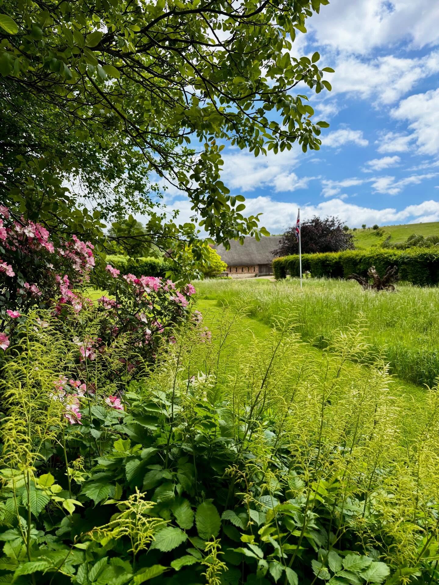 Amazing what a bit of rain can do 🌹🌸🌼🪻
Upper Parsonage Farm is bursting with colour after a week of much-needed rain!

#nature #summer #southdownsnationalpark #hampshirecamping #greengreengrass