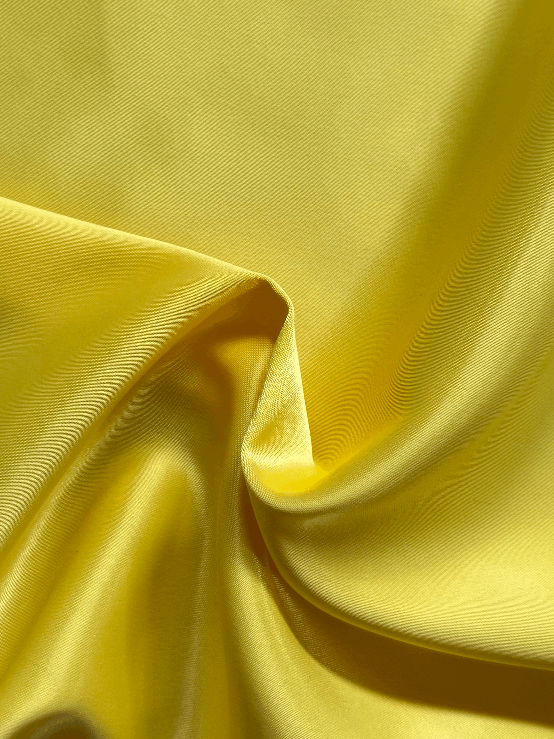 Satin Daffodil