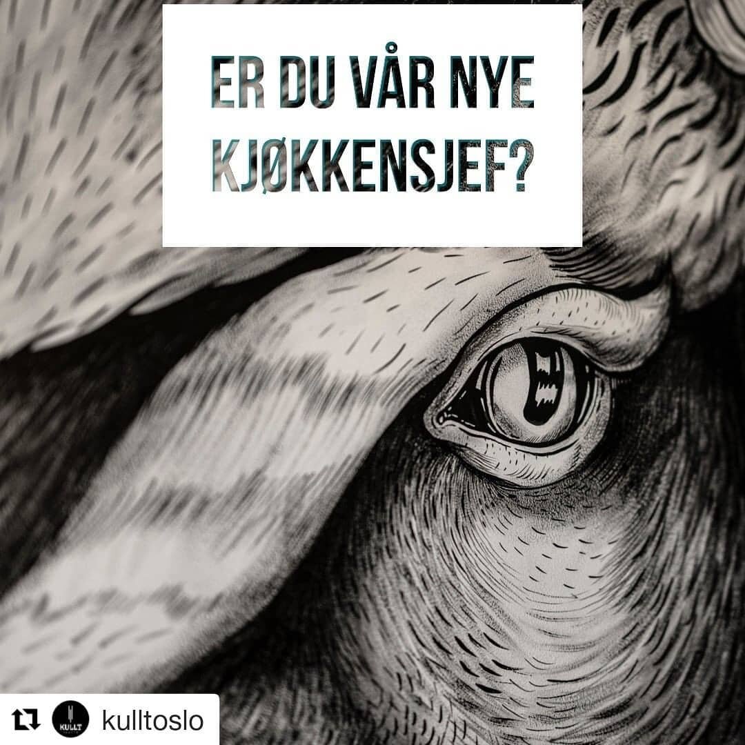 #Repost @kulltoslo
V&aring;re flotte kollegaer hos Kullt s&oslash;ker kj&oslash;kkensjef!

・・・

Vidunderlig stemning, profesjonellt arbeidsmilj&oslash; og en kullgrill ved navn Roxanne Hvis du er en erfaren kj&oslash;kkensjef som elsker kj&oslash;tt 