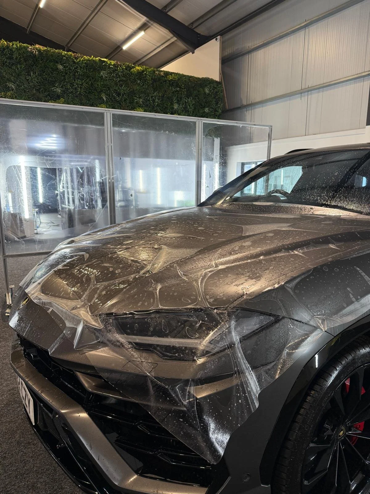 WhatsApp Image 2025-09-11 at 10.58.09.jpeg