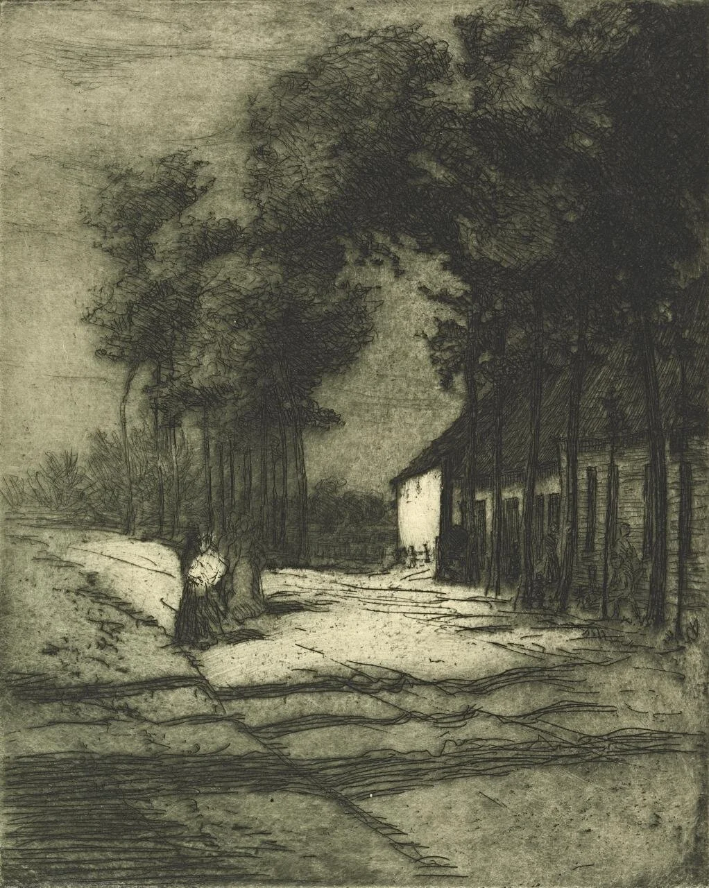 On the Trail of Jesse Traill