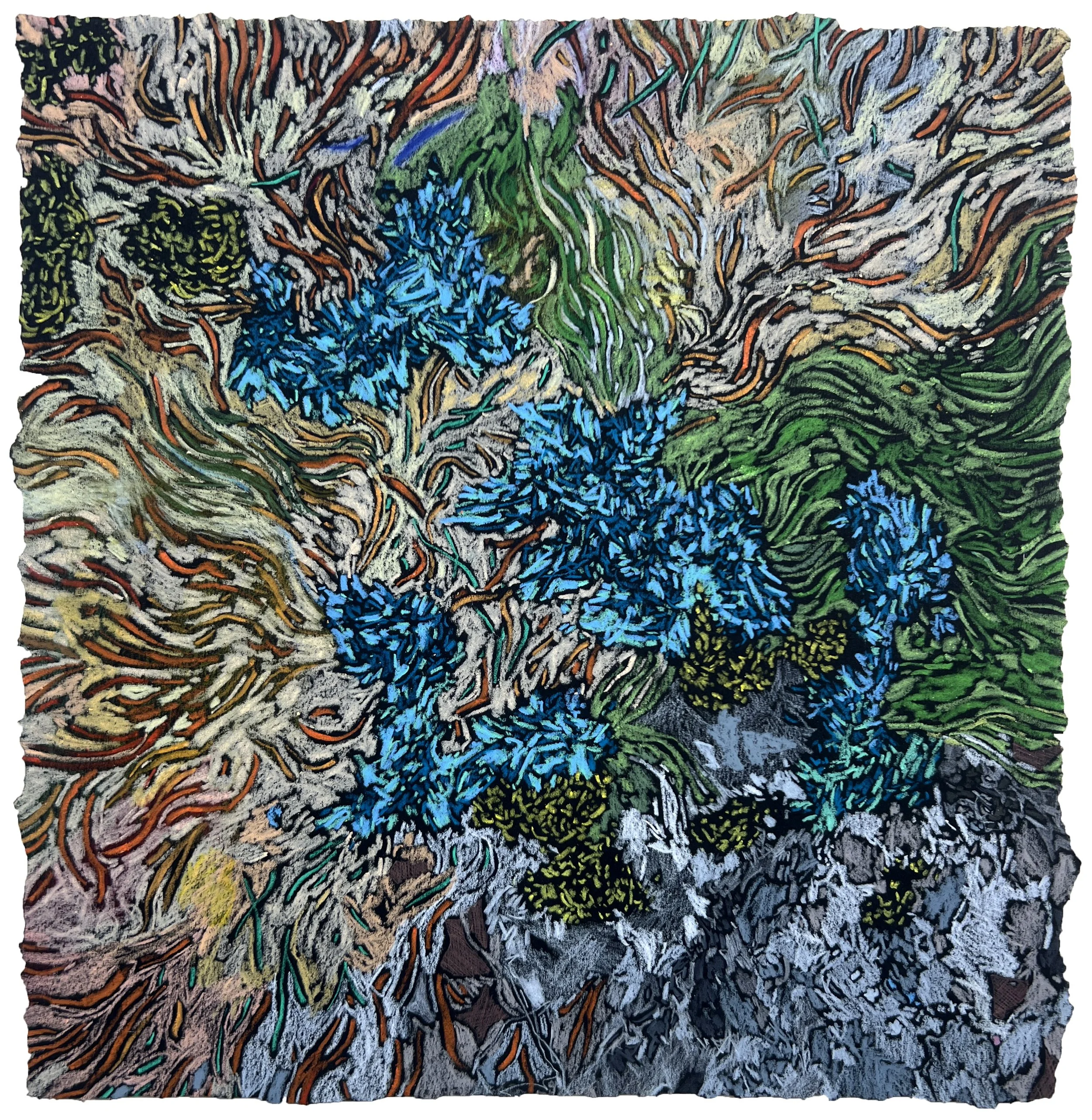   Hidden Detail of the Land   Crayon and coloured pencil on paper,  23.5 × 23 cm, 2026, £195 