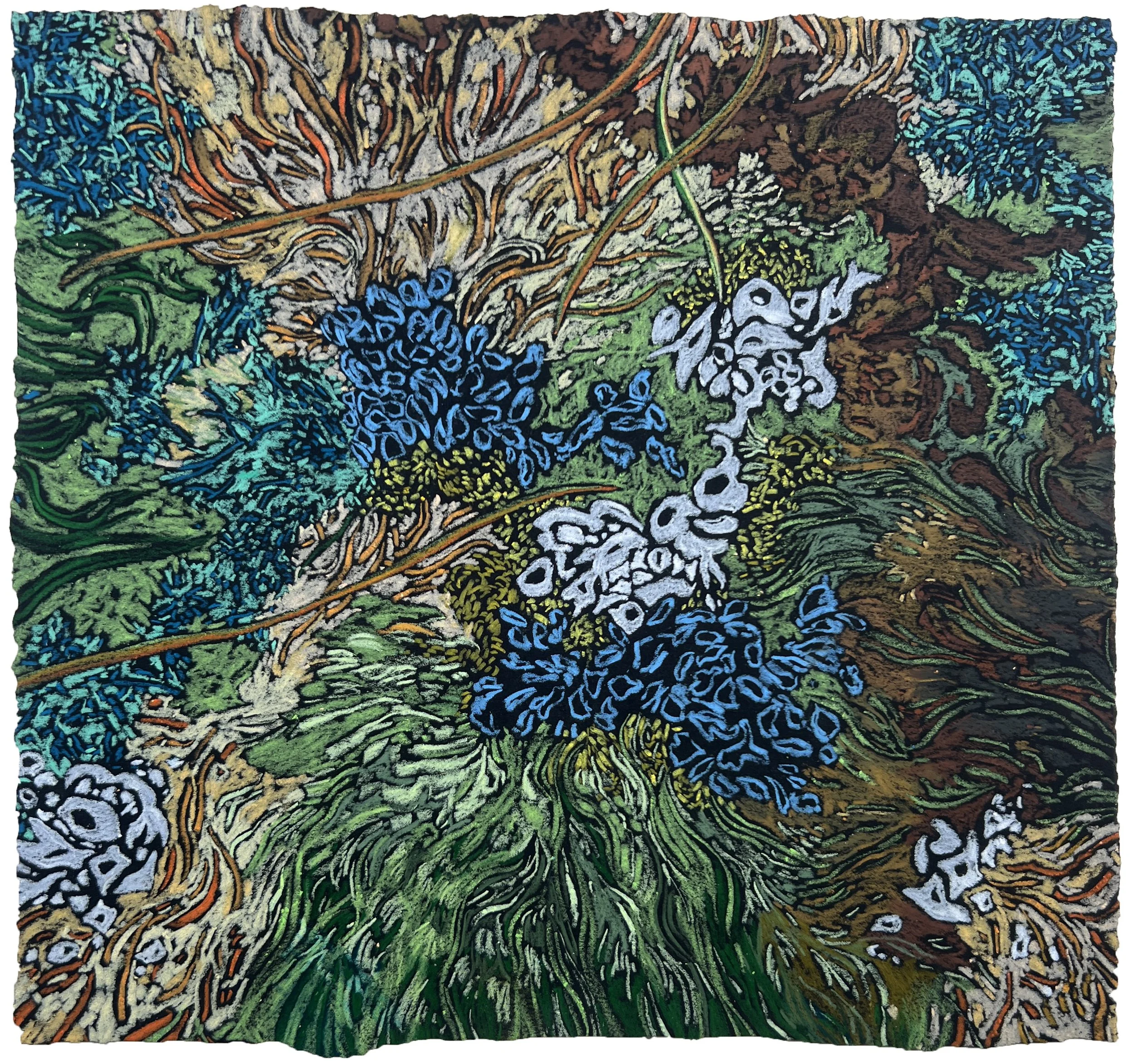   Patterns of the Untamed   Crayon and coloured pencil on paper, 23 × 25 cm, 2026, £195 