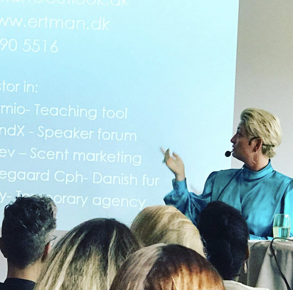 louise ertman - foredrag.jpg