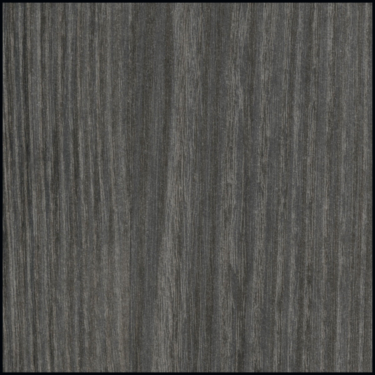 Ebony Rincon - TimberFeel