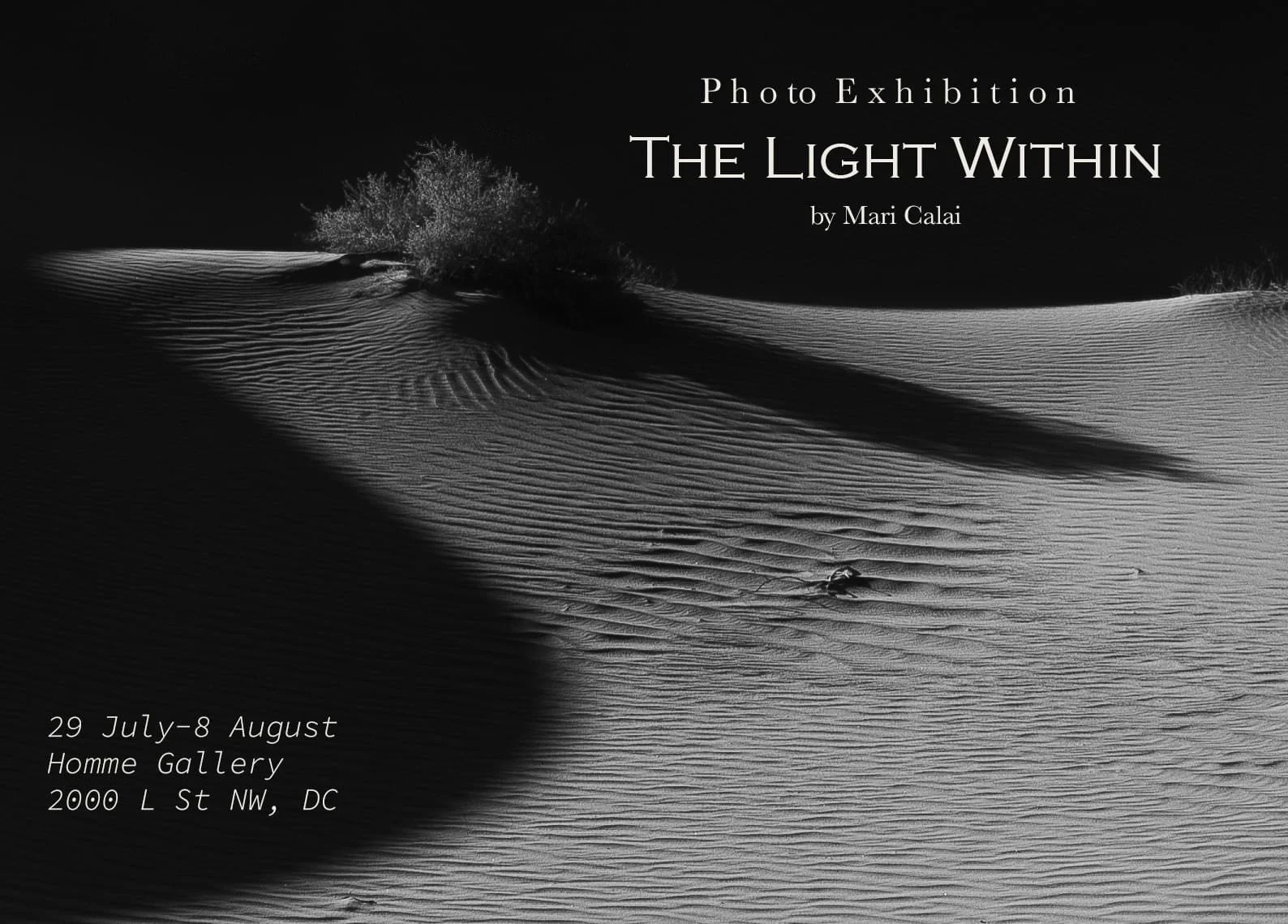 Solo exhibition July 29th-August 8th, 2023,  Home Gallery, Washington D.C.