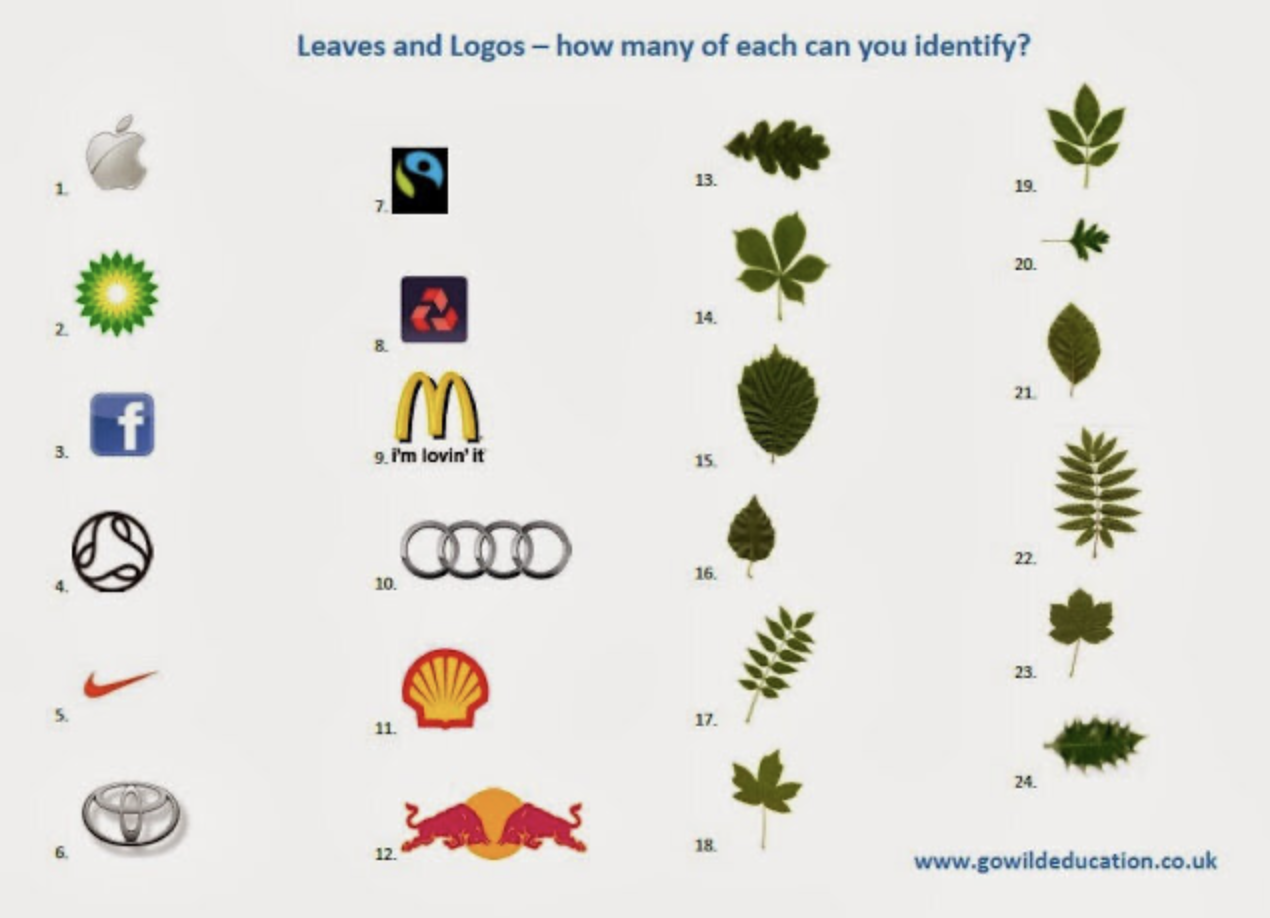Leaves and Logos Identification Quiz