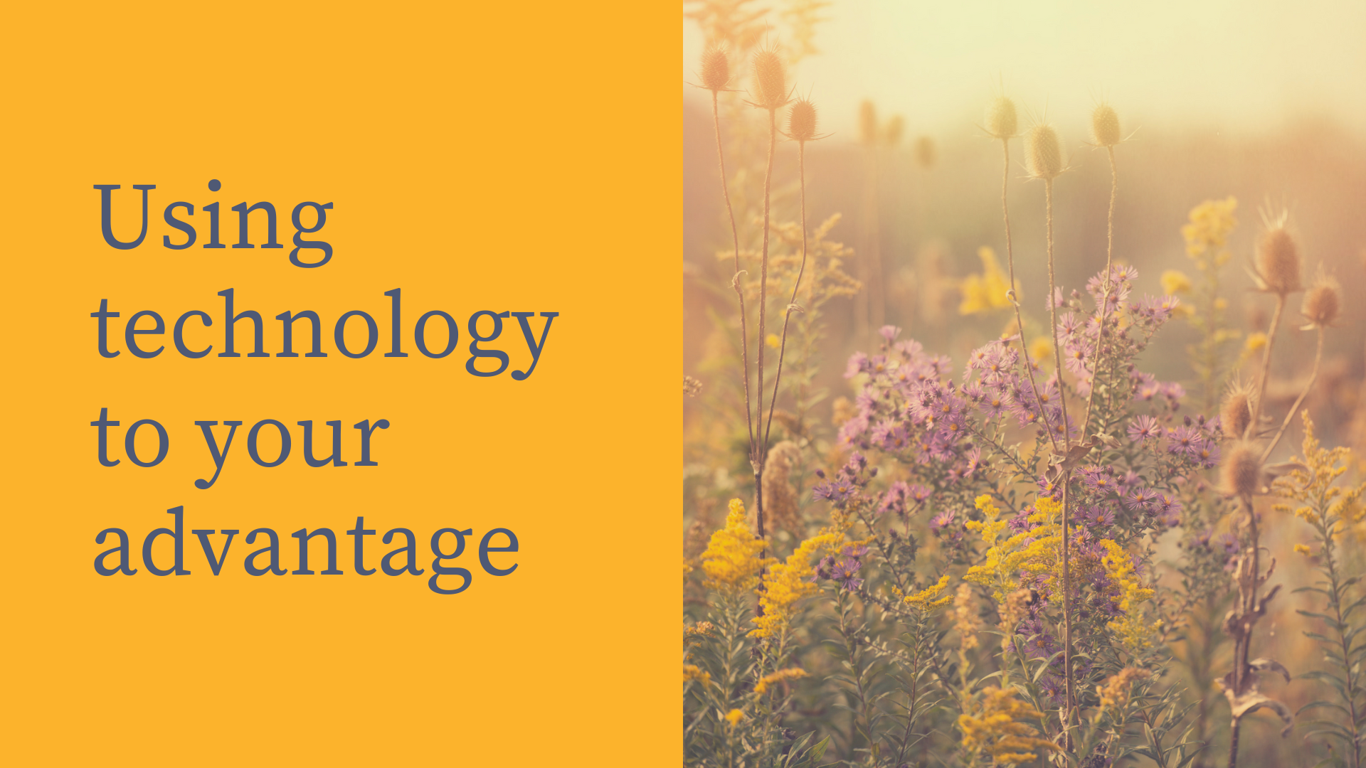 A split image with a solid orange background containing the text 'Using technology to your advantage' on the left, and a sunlit field of wildflowers on the right.