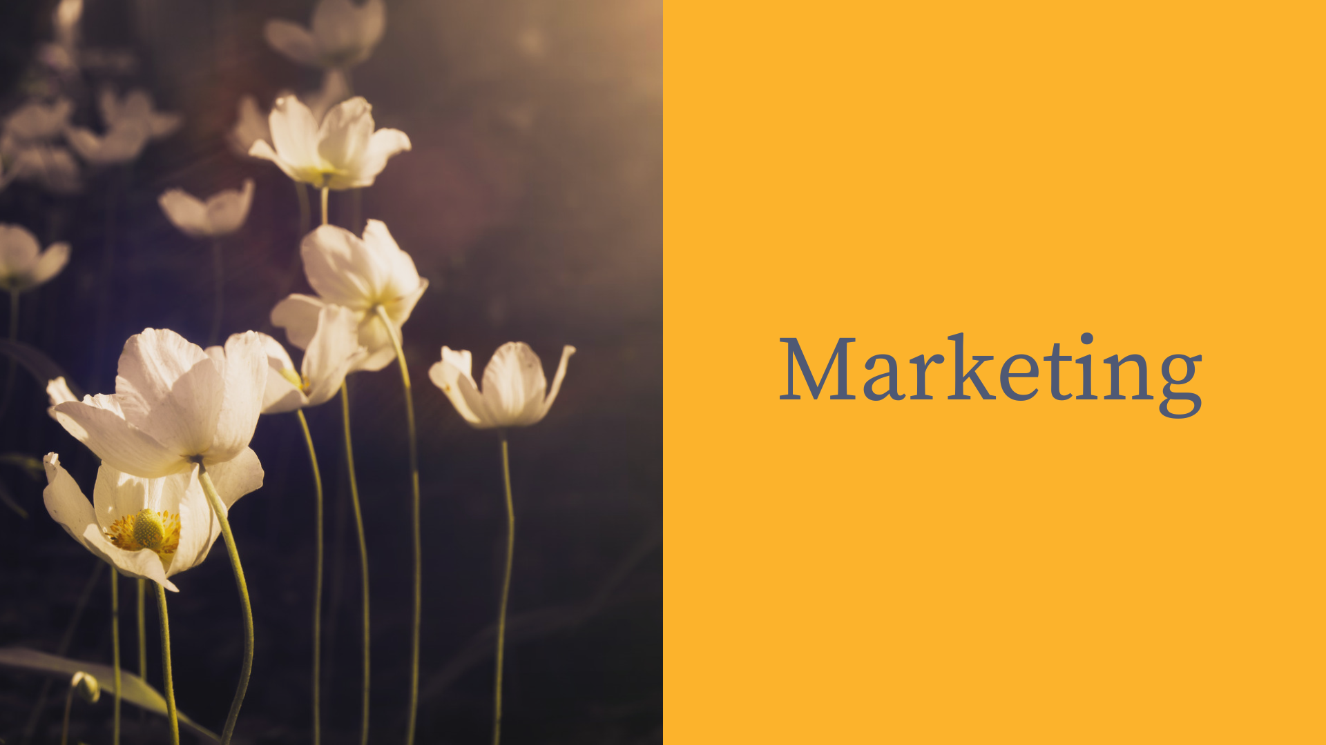 Close-up of white flowers with green stems against a dark blurred background, with a yellow section containing the word 'Marketing' in blue text.