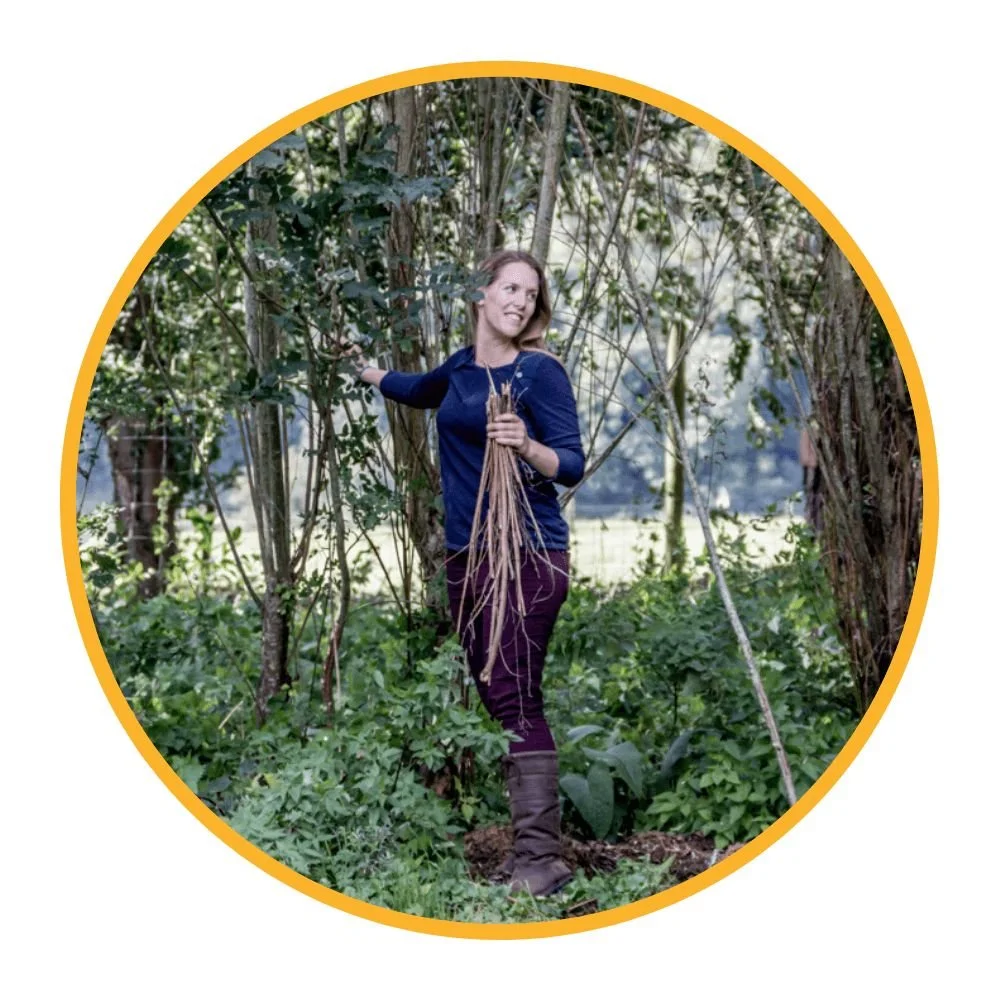 Go Wild Online Forest School Training