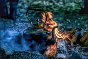 Go Wild Education ↟ Forest School Training