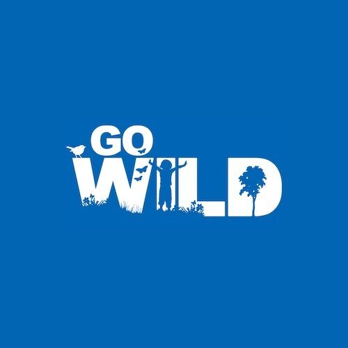Go Wild Online Forest School Training