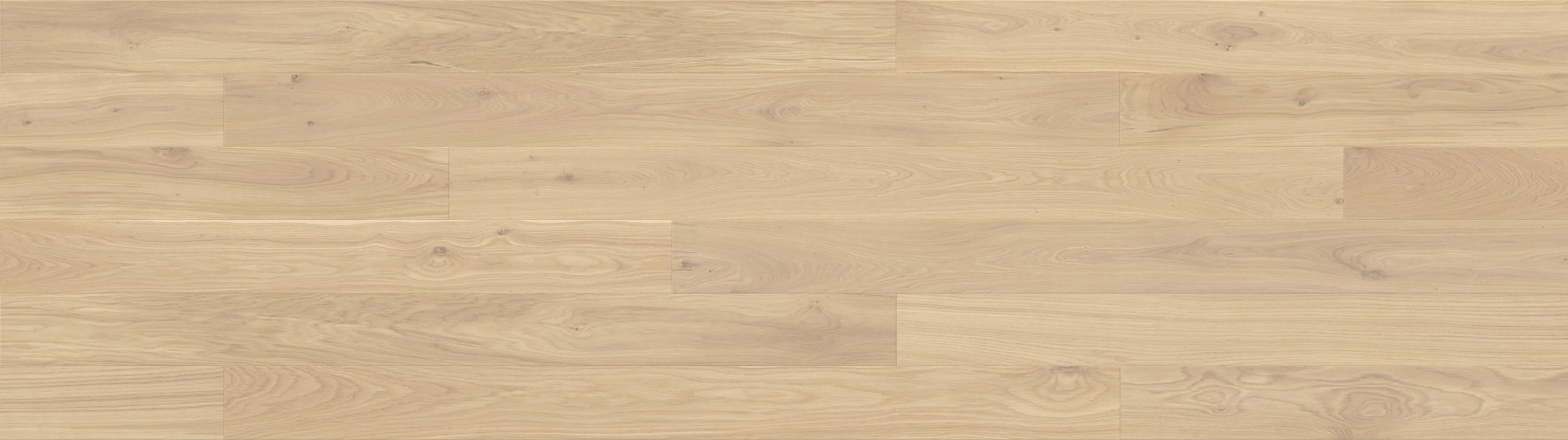 SAGA Exclusive Eik Chert