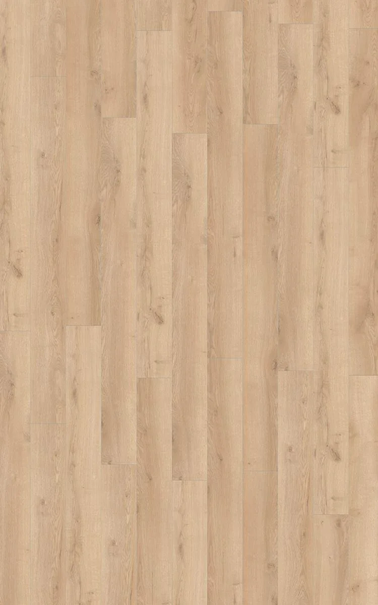 503729 - 60882525 Mammut Oak Silver_3.JPG.jpg