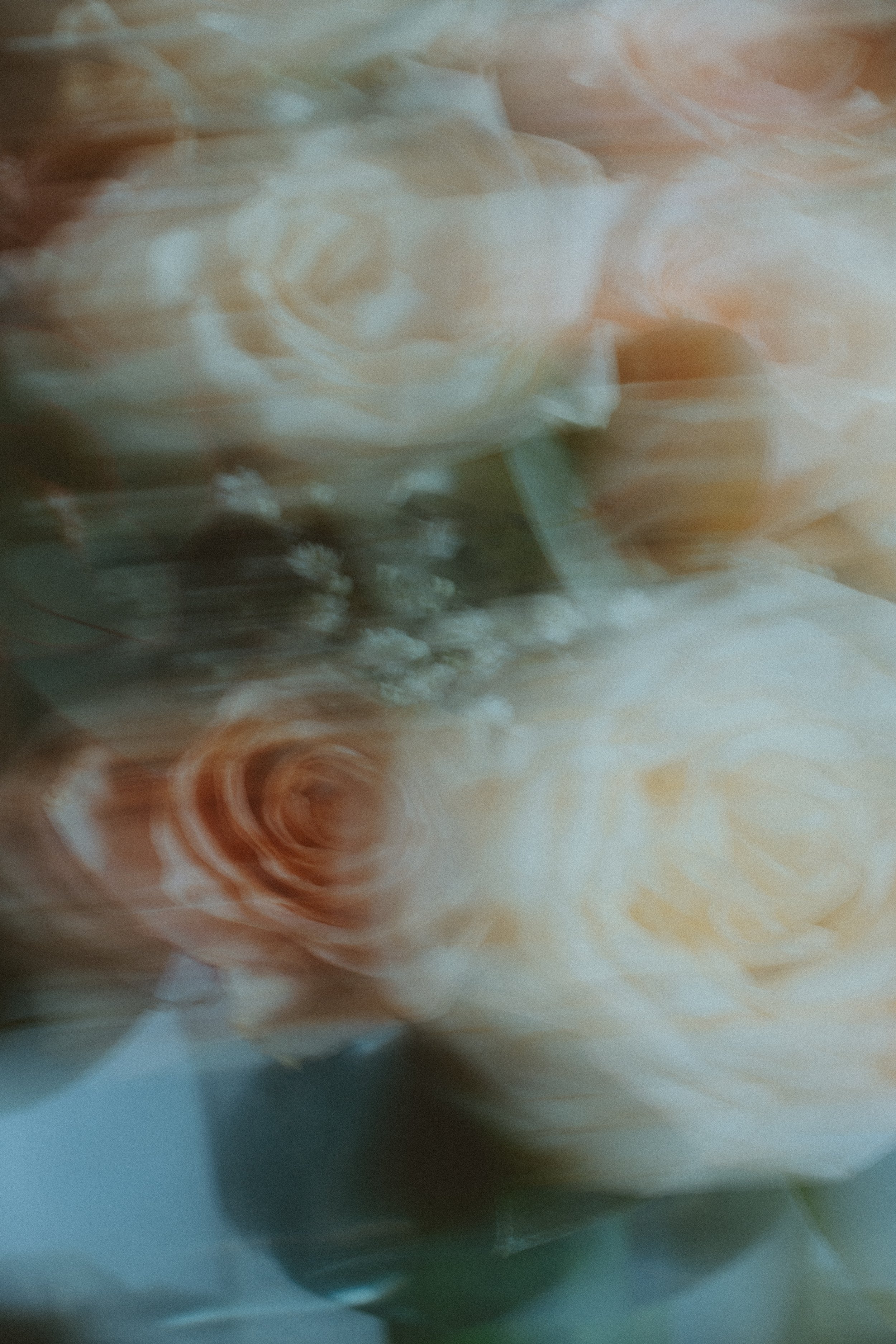flowers at night-22.jpg