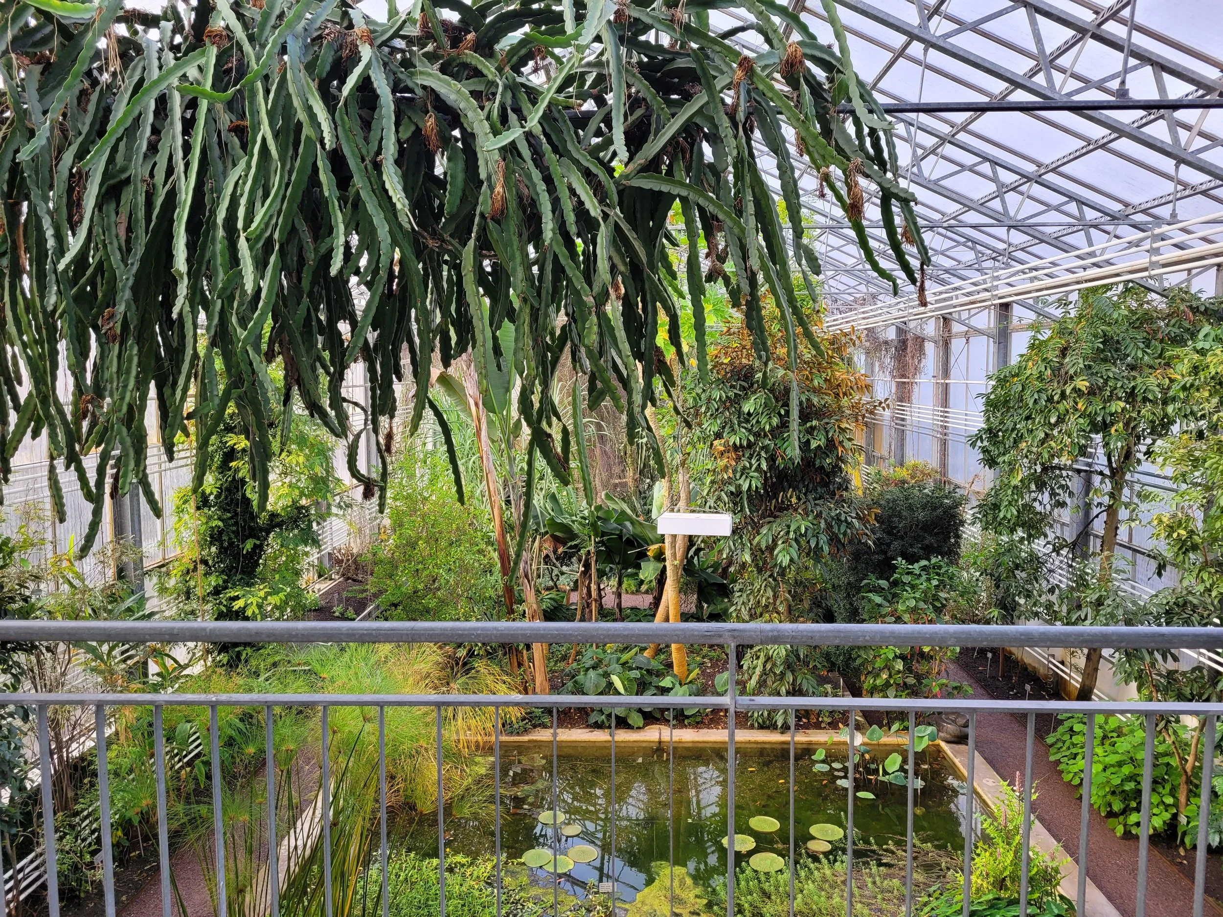 20230223_090037.jpg