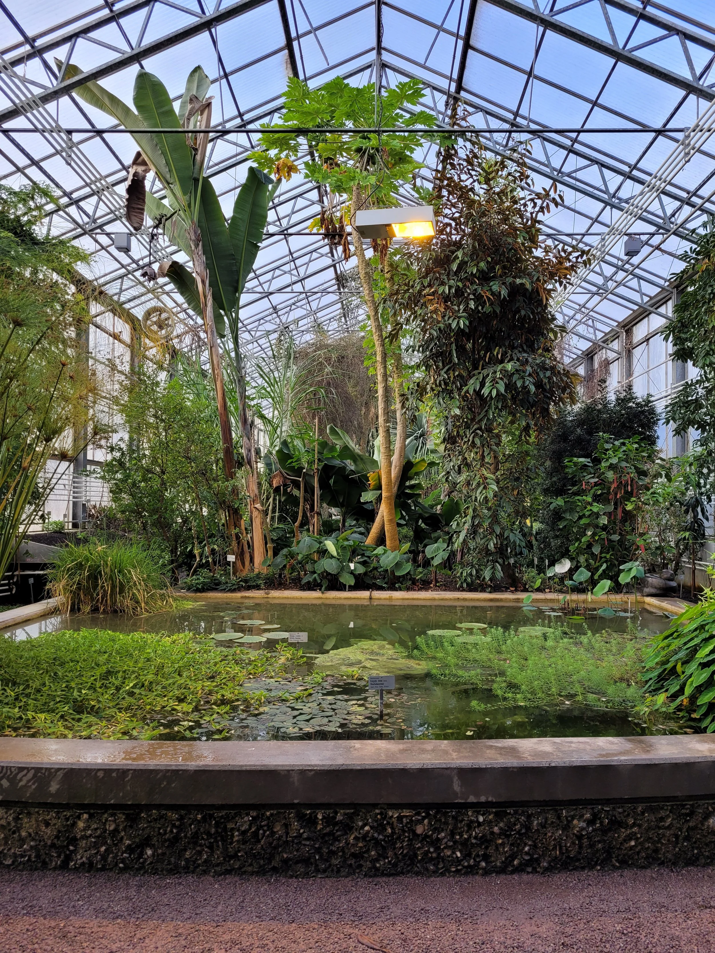 20230223_090015.jpg