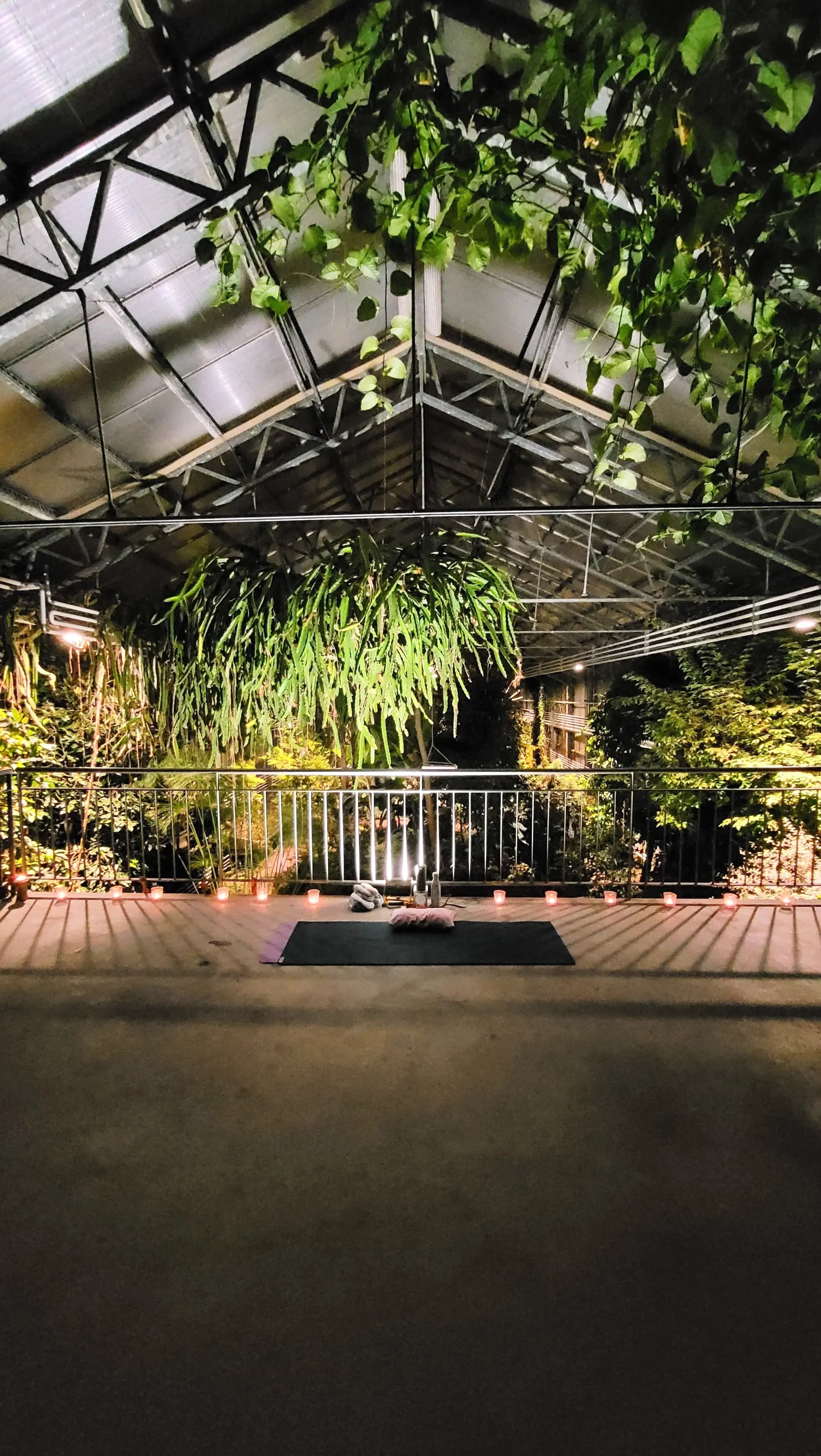 Botanischder Garten