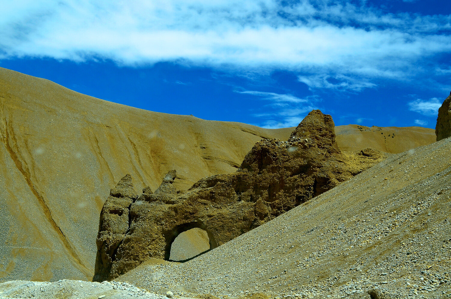 41SSDSC_0543.jpg