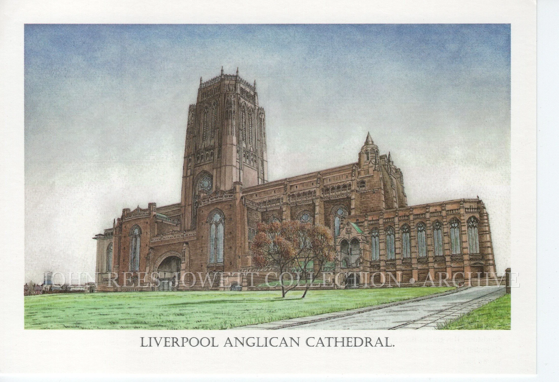 John Rees-Jowett Originals Postcards_012_WEB.jpg