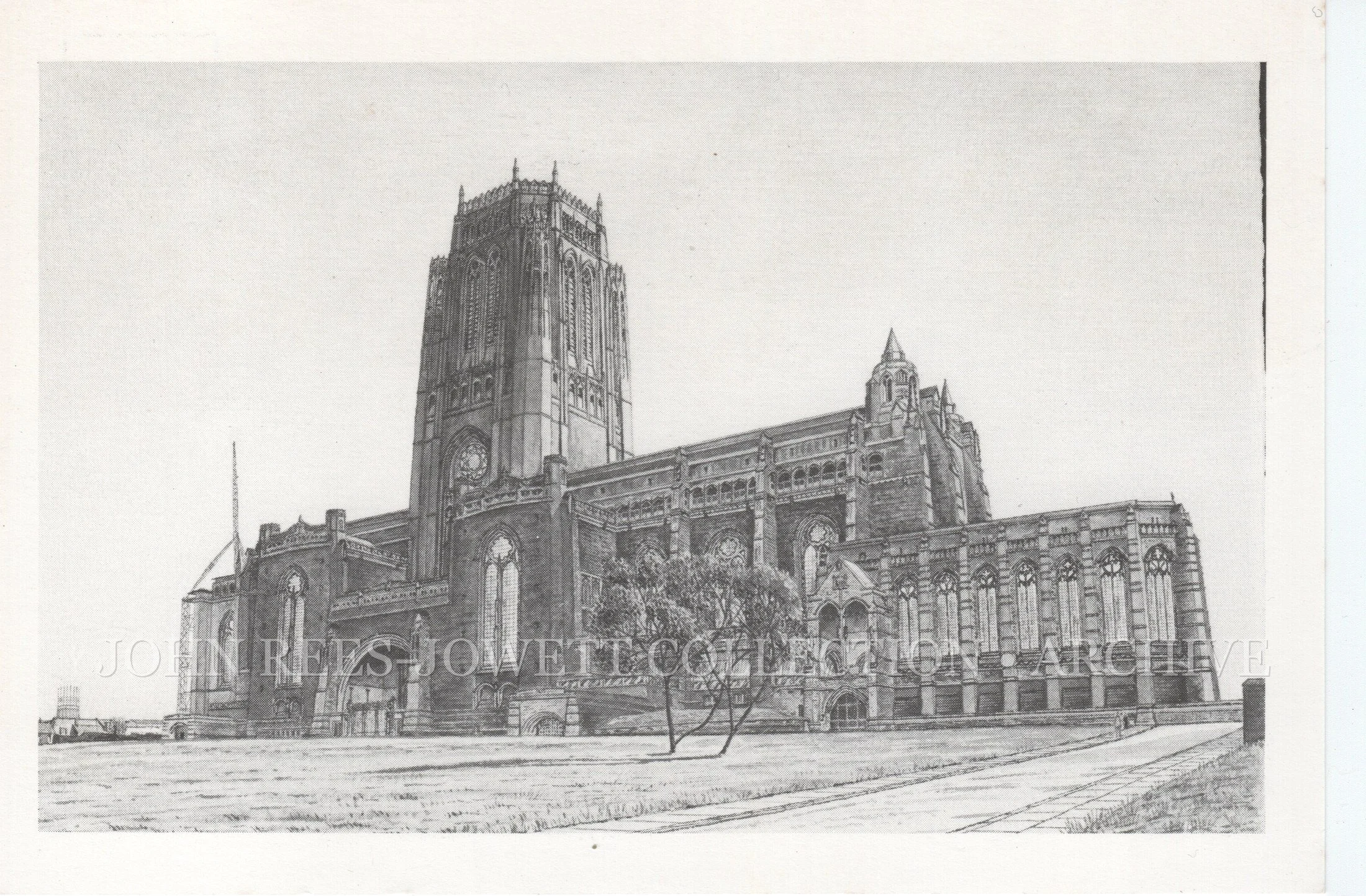 John Rees-Jowett Originals Postcards_008_WEB.jpg