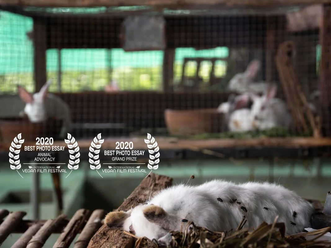 Photo Essay: “Next in Line”