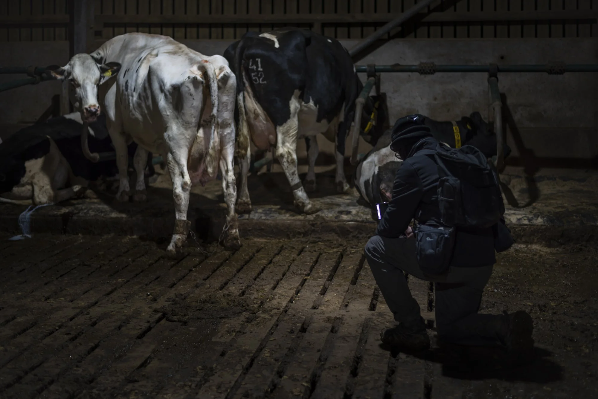 Investigating_Behind Closed Doors.jpg