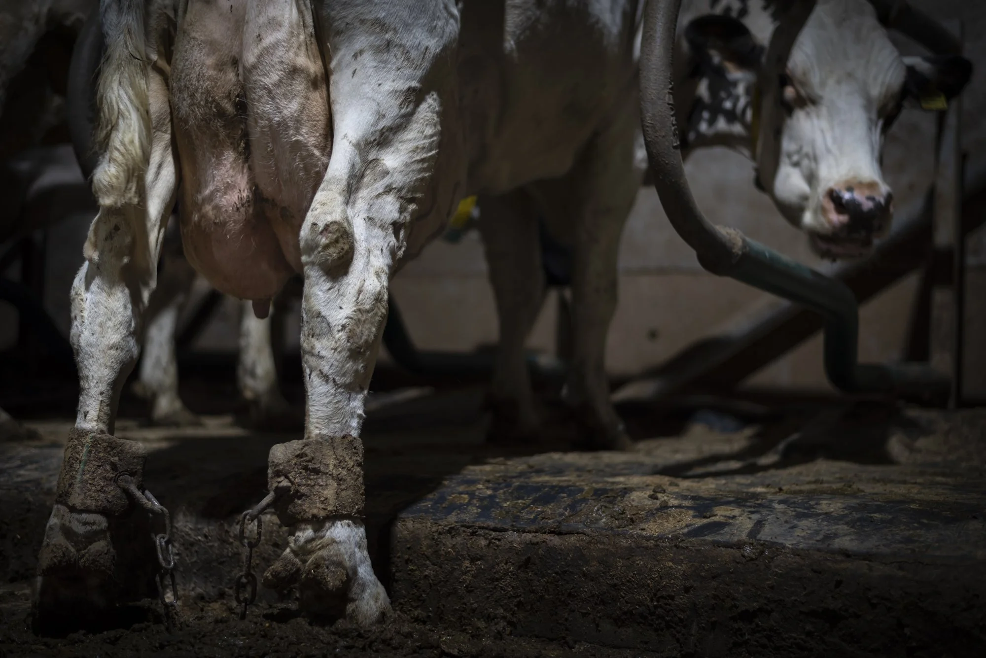 Shackled_Behind Closed Doors.jpg