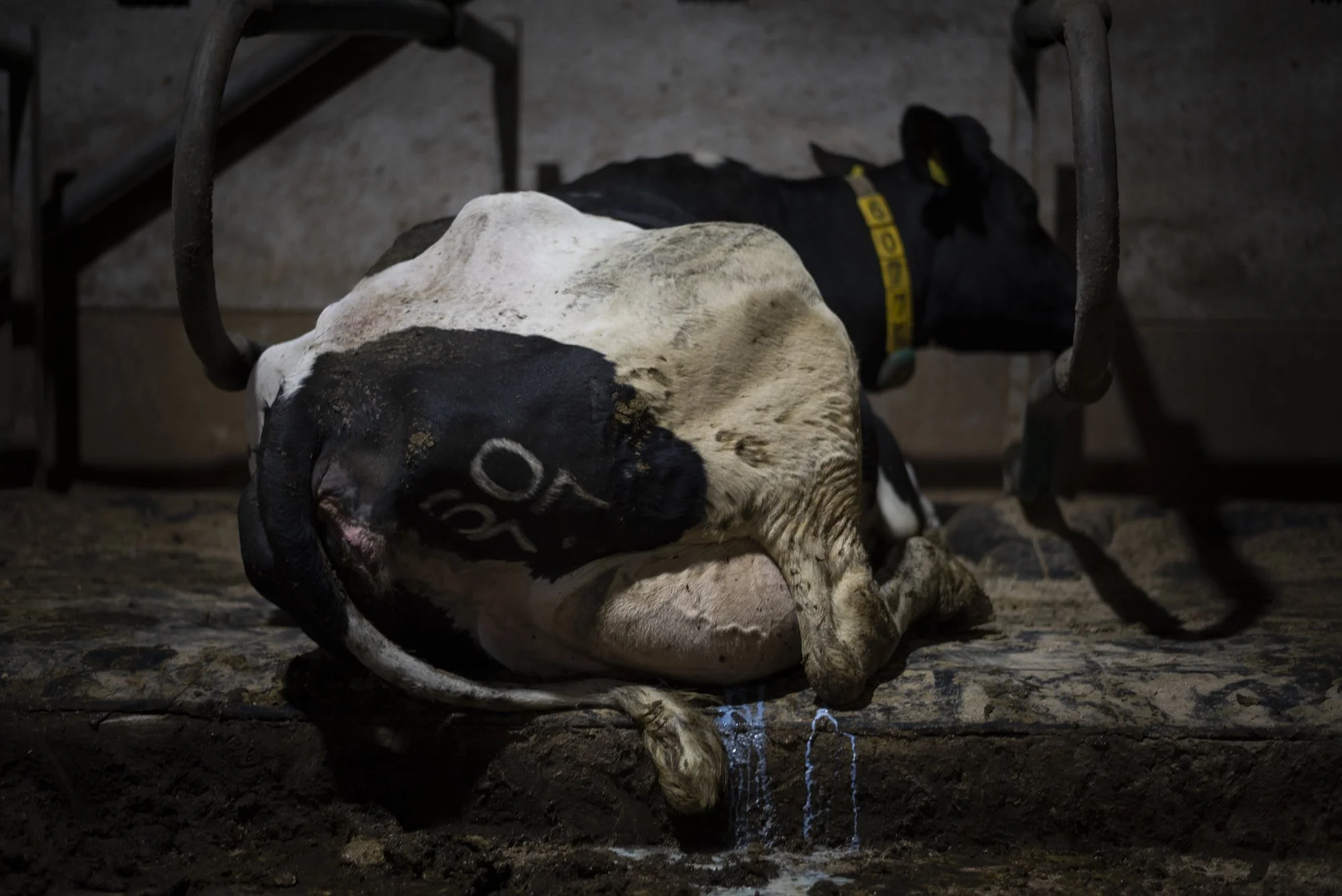 Leaking_Behind Closed Doors_.jpg